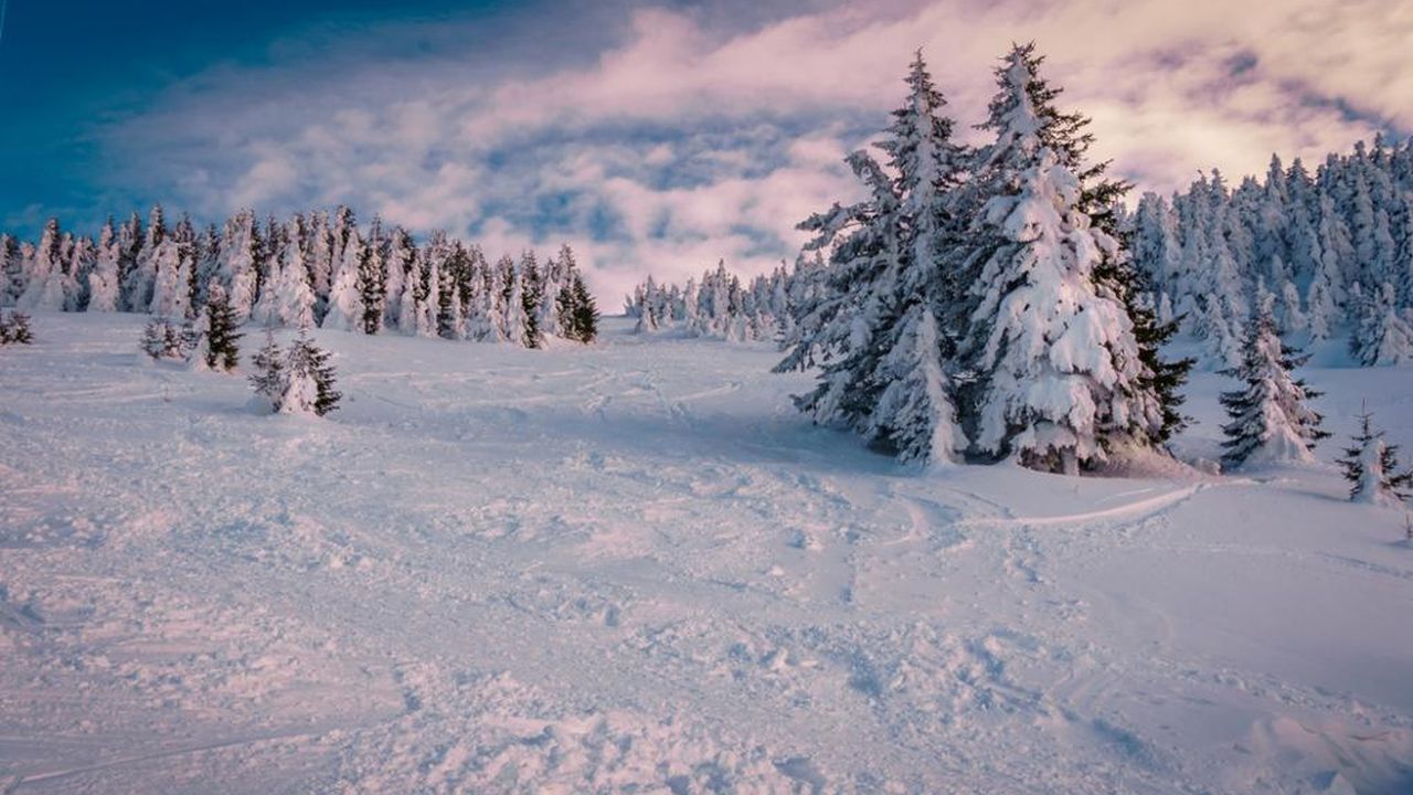Winterstimmung Winterstimmung